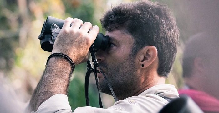 best binoculars for birding