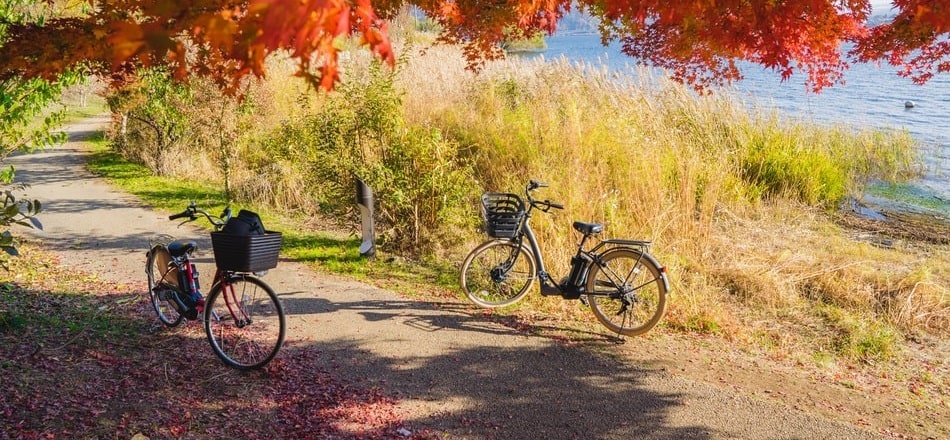 why bicycle does not fall