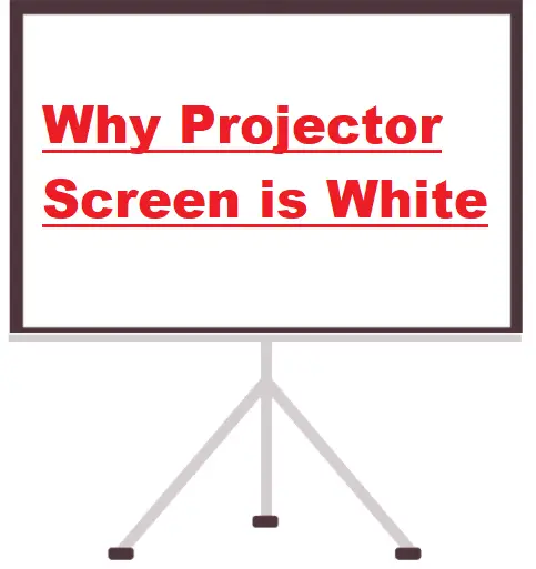 Why Projector Screen is White